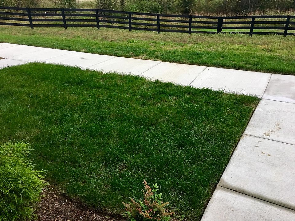 View from front door