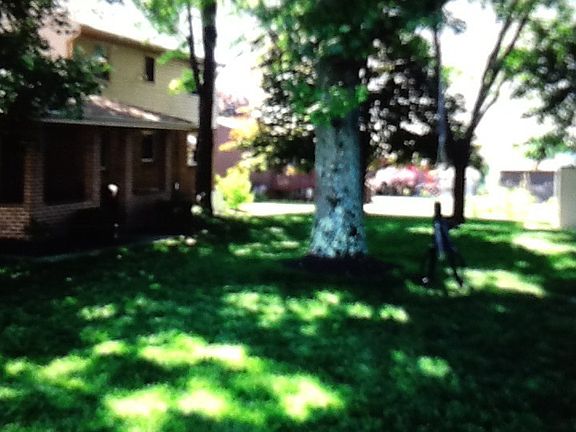 Private treed backyard!!!
