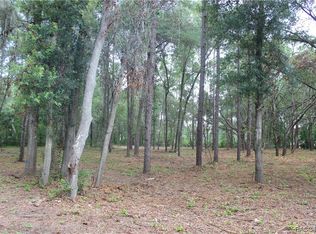 3597 W Ivy St, Dunnellon, FL 34433
