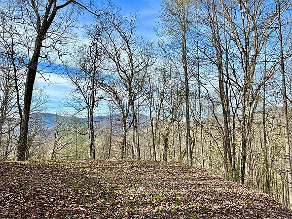 4th image of 53 Lyle Mountain Trl