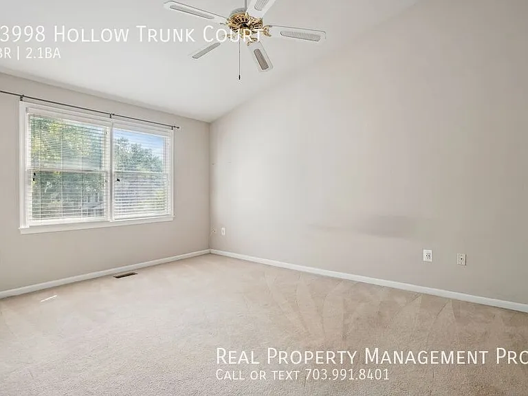 13998 Hollow Trunk Ct — Photo 19