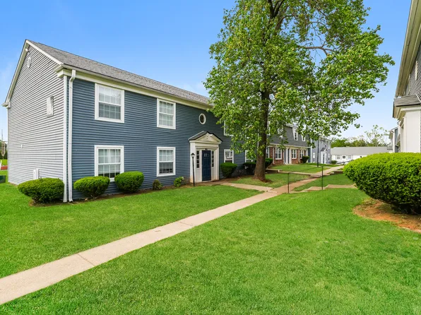 Vines at Stony Brook