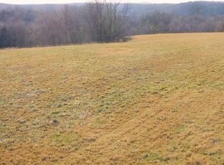 000 Ruger Road, Blue Eye, MO 65611