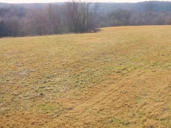 000 Ruger Road, Blue Eye, MO 65611