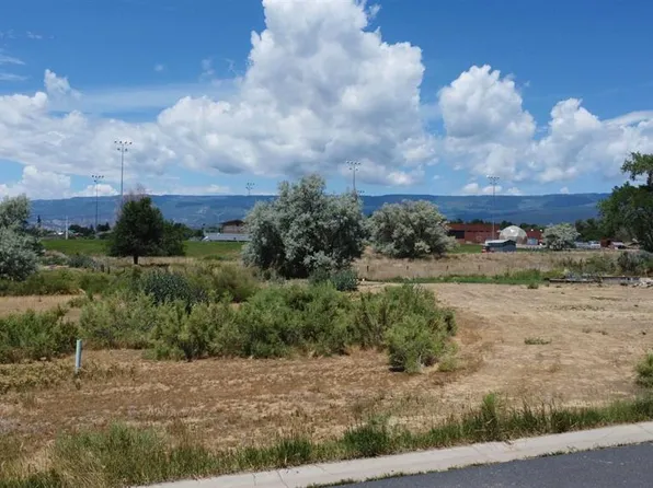 730 SE Pinyon Street, Cedaredge, CO 81413