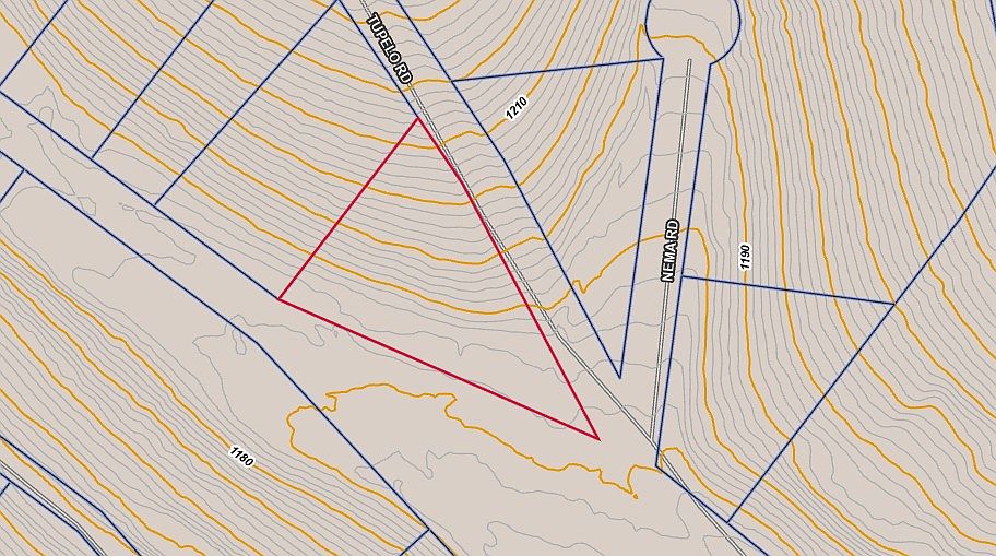2nd image of Tupelo St #471