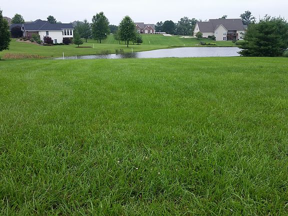 5th image of 117 Westborough Dr