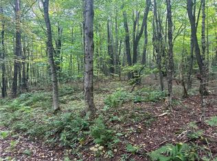 LOT 1 Bice Rd #16, Lorraine, NY 13659