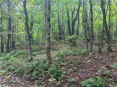 LOT 1 Bice Rd #16, Lorraine, NY, 13659