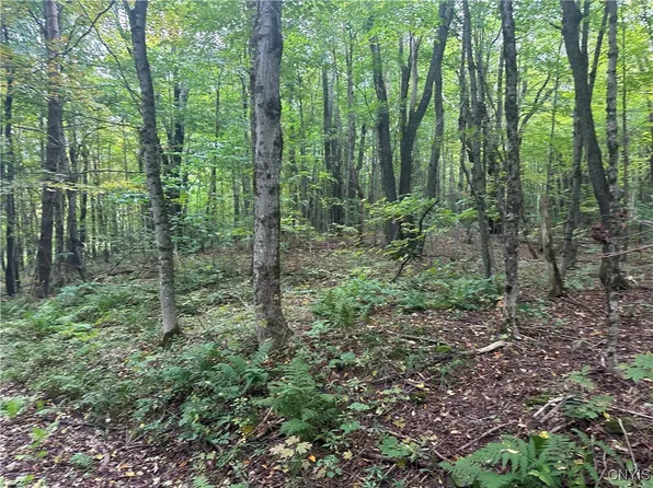 LOT 1 Bice Rd #16, Lorraine, NY 13659