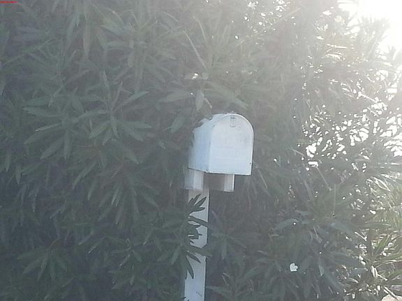 3rd image of 12375 Avenida Serena