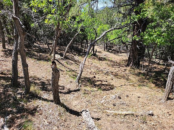 4th image of 0 Rio Grande Rd
