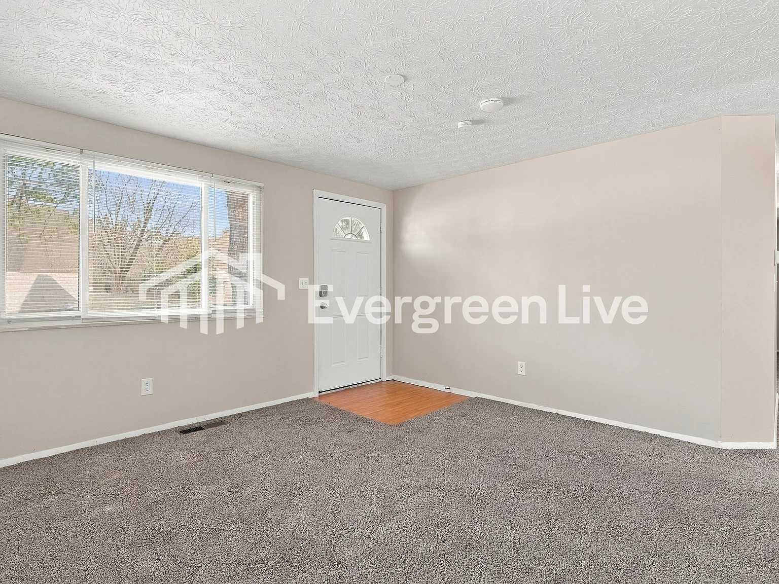 3 bed, 1.0 bath, 836 sqft, $1,345 — Photo 3