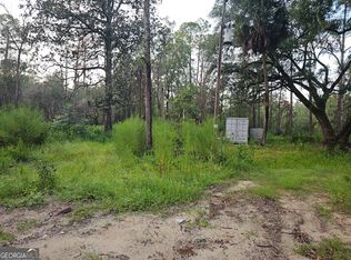 373 Carl Burney Rd, Hortense, GA 31543