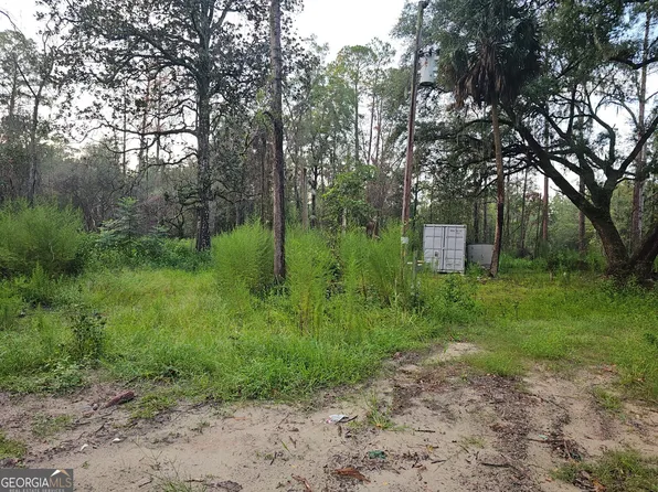 373 Carl Burney Rd, Hortense, GA 31543