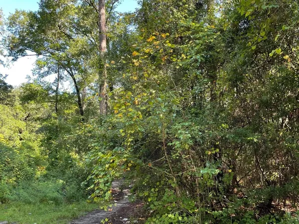 TBD Bellamy Dr., Little River, SC 29566