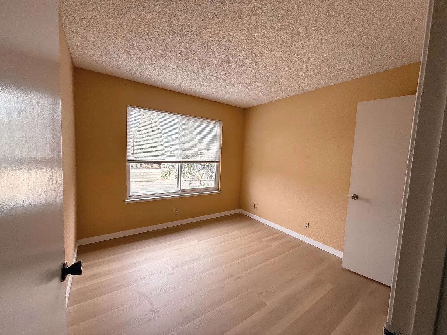 3 bed, 2.5 bath, 1917 sqft, $3,300 — Photo 3