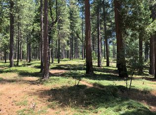 1 Sly Park Road Acre, Pollock Pines, CA 95726