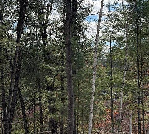 5th image of E Long Lake Rd