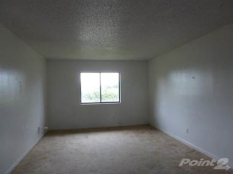 5th image of 5020 Palm Hill Dr APT 120