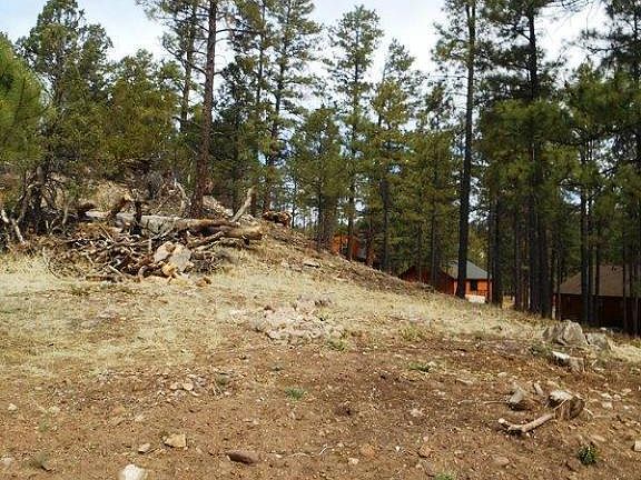 2nd image of 2820 Pine Hill Dr