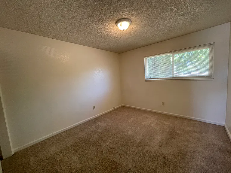 3500 Timberly Ln — Photo 15