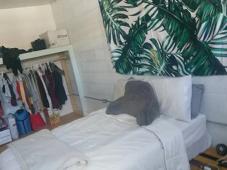 3 bed, 1200 sqft, $1,900 — Photo 2
