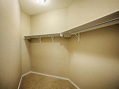 1101 Amazon Lilly Cv — Photo 23