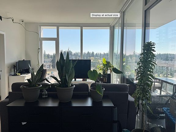 4th image of 699 Whiting Way #806