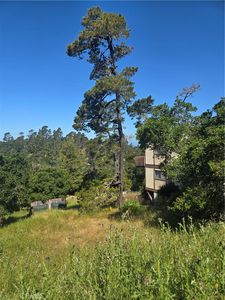 0 Pierce Ave Lot 35, Cambria, CA, 93428