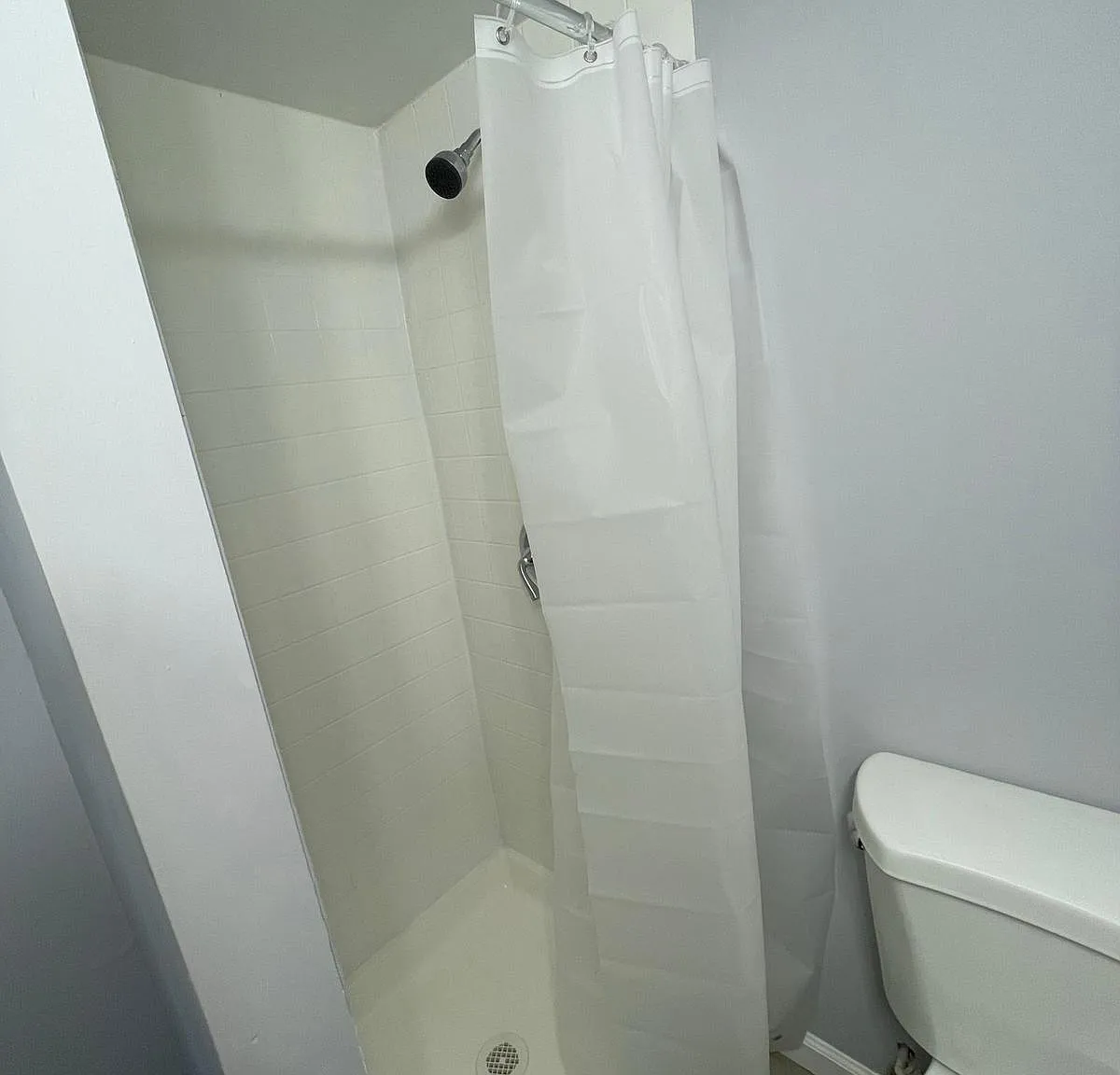 1 bed, 1200 sqft, $1,500 — Photo 2