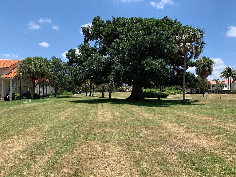 lots of green areas