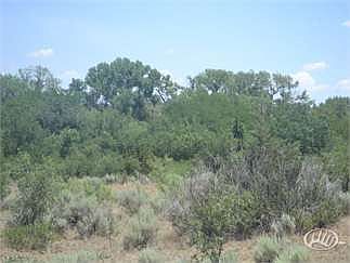 5th image of 4095 County Road 24