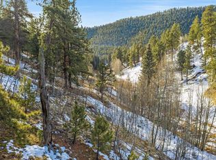 8 Burton St, Bailey, CO 80421