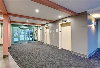 Main Entry