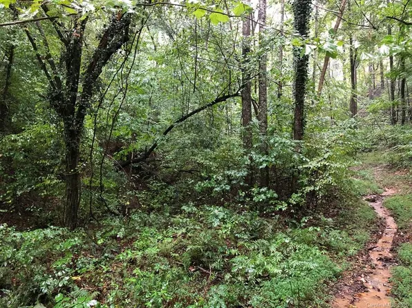 64 Green River Cove Rd, Saluda, NC 28773