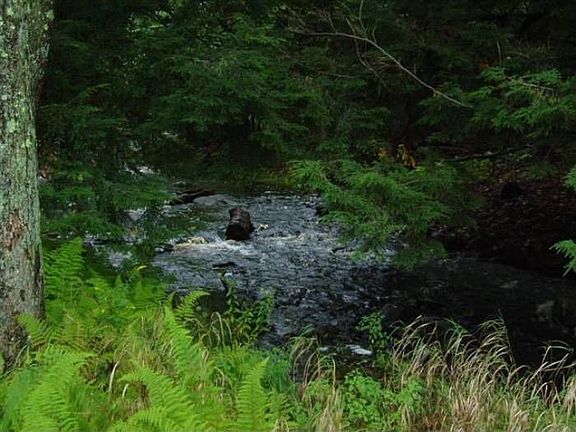 Babbling Creek