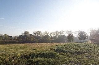 4th image of 13337 Wood Duck Dr