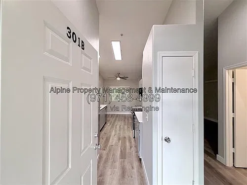 Floor plan 1 Bedroom 1 Bath