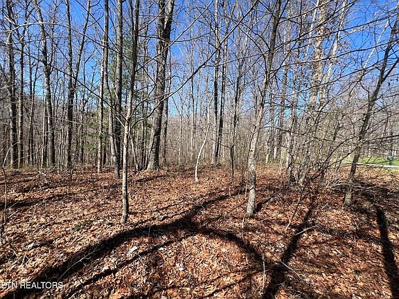 2nd image of 590 Stone Haven Trl