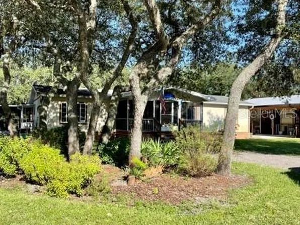 670 Brantly Rd, Osteen, FL 32764