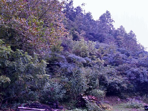 2nd image of 5756 St Highway 1056