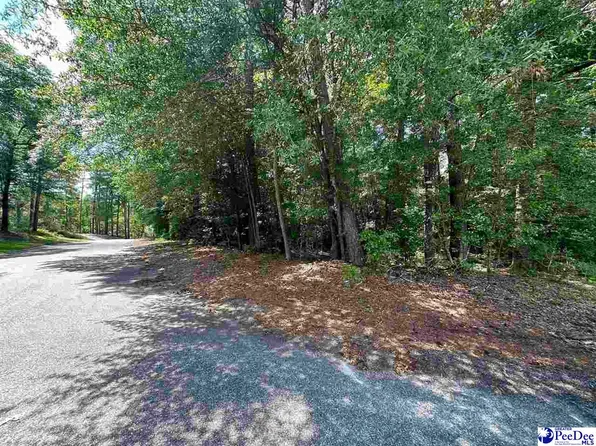 LOT 14 Wildshall Rd, Darlington, SC 29540