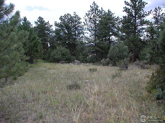 4th image of 504 Mount Blanc Rd