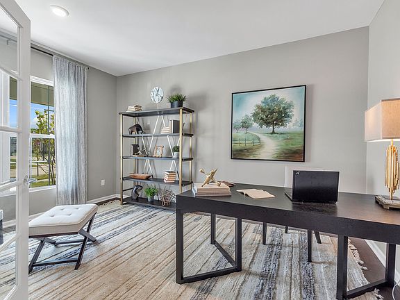 Study - Representational Photo