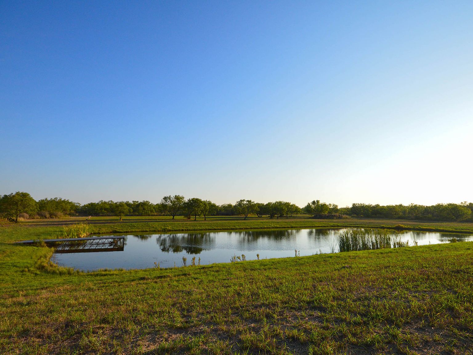 County Road 2743, Bigfoot, TX 78005 Zillow