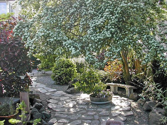 Garden below deck