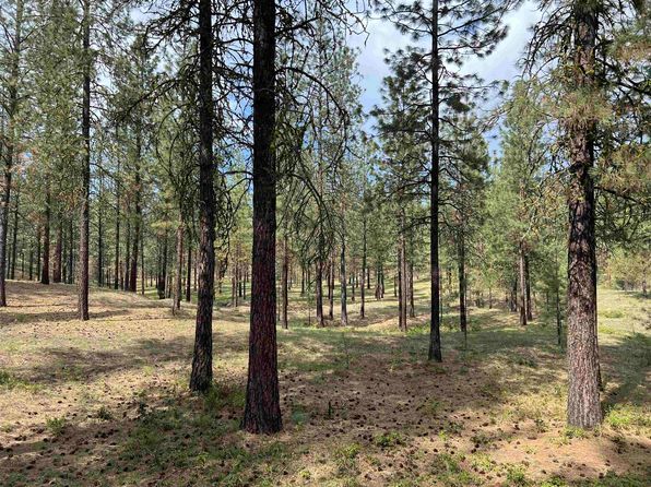 Junco Way, Kettle Falls, WA 99141