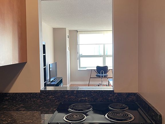 5th image of 474 N Lakeshore Dr Unit 5409