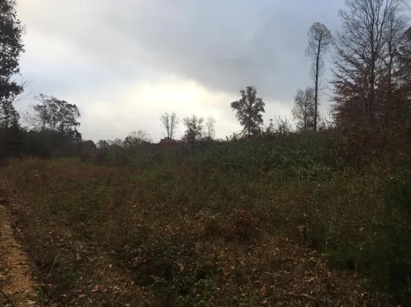 158 Hubbs Grove Rd, Maynardville, TN 37807